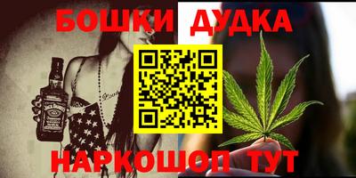 МДПВ Новодвинск