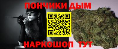 МДПВ Новодвинск
